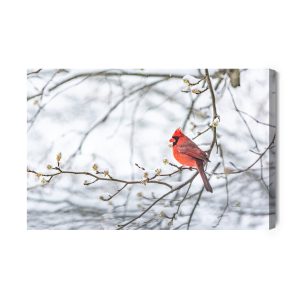 Peinture sur toile Oiseau Rouge – Image 2