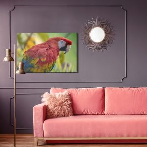 Peinture sur toile Perroquet Ara – Image 4