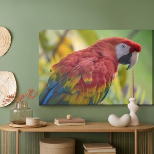 Peinture sur toile Perroquet Ara – Image 5