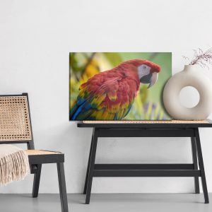 Peinture sur toile Perroquet Ara – Image 6