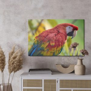 Peinture sur toile Perroquet Ara – Image 3