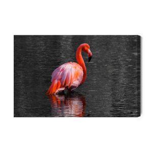Peinture sur toile Flamants Roses Dans L'eau – Image 2