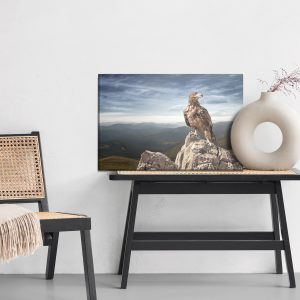 Peinture sur toile Aigle Au Sommet De La Montagne – Image 6
