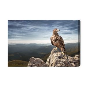 Peinture sur toile Aigle Au Sommet De La Montagne – Image 2