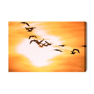 Peinture sur toile Oiseaux Cormorans – Image 2