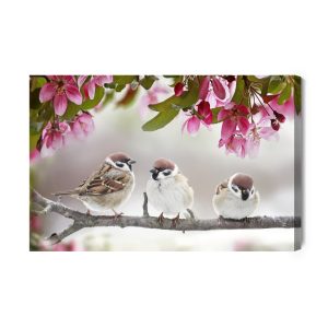 Peinture sur toile Moineaux Oiseaux – Image 2
