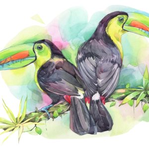 Peinture sur toile Perroquets Aquarelles – Image 1