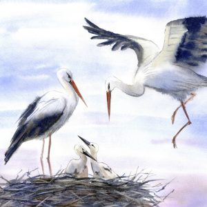 Peinture sur toile Stroch Aux Couleurs D'aqaurell – Image 1