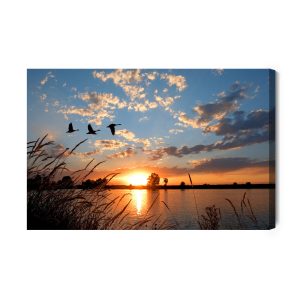 Peinture sur toile Oiseaux Au Coucher Du Soleil – Image 2