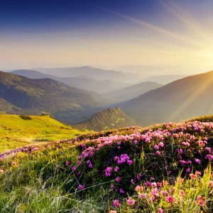 Peinture sur toile Coucher De Soleil Dans Les Montagnes – Image 1