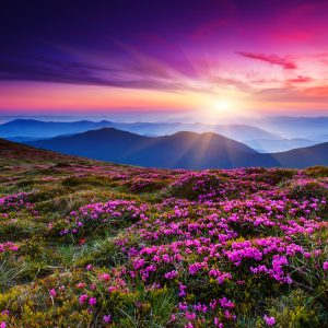 Peinture sur toile Beau Pays De Montagne – Image 1