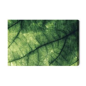 Peinture sur toile Texture De Feuille Abstraite – Image 2