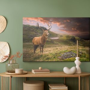 Peinture sur toile Un Cerf Sur Fond De Ciel Nuageux – Image 5