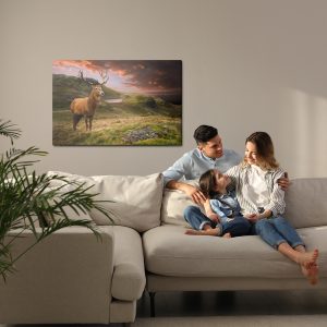 Peinture sur toile Un Cerf Sur Fond De Ciel Nuageux – Image 7