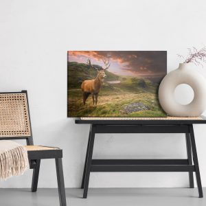 Peinture sur toile Un Cerf Sur Fond De Ciel Nuageux – Image 6