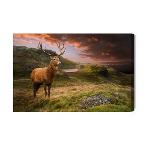 Peinture sur toile Un Cerf Sur Fond De Ciel Nuageux – Image 2