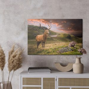 Peinture sur toile Un Cerf Sur Fond De Ciel Nuageux – Image 3