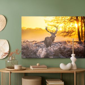 Peinture sur toile Cerf Au Soleil Du Matin – Image 5