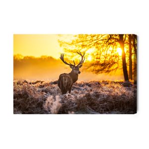 Peinture sur toile Cerf Au Soleil Du Matin – Image 2
