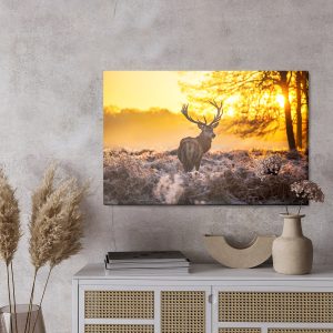 Peinture sur toile Cerf Au Soleil Du Matin – Image 3