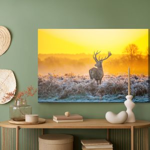 Peinture sur toile Cerf À L'aube – Image 5