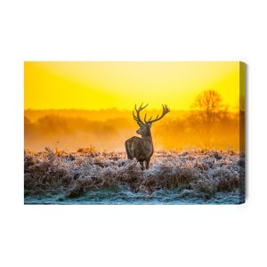Peinture sur toile Cerf À L'aube – Image 2