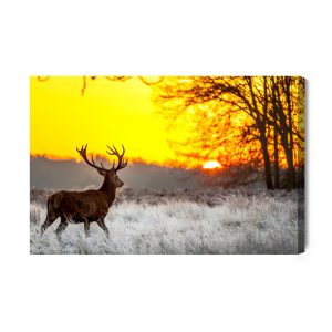 Peinture sur toile Un Cerf Sur Fond De Soleil Levant – Image 2