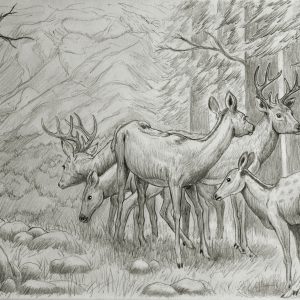 Peinture sur toile Esquisse D'un Cerf – Image 1