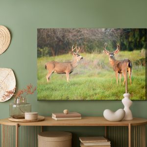 Peinture sur toile Deux Jeunes Cerfs – Image 5