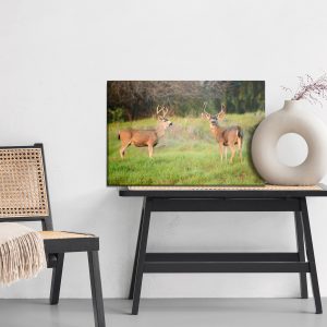 Peinture sur toile Deux Jeunes Cerfs – Image 6