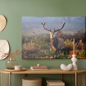 Peinture sur toile Un Cerf Impressionnant Parmi La Végétation Forestière – Image 5