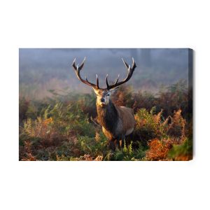 Peinture sur toile Un Cerf Impressionnant Parmi La Végétation Forestière – Image 2