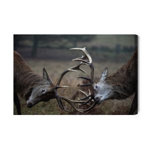 Peinture sur toile Cerf De Combat – Image 2
