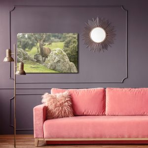 Peinture sur toile Un Cerf Parmi Les Rochers – Image 4