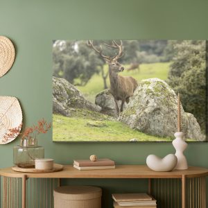 Peinture sur toile Un Cerf Parmi Les Rochers – Image 5
