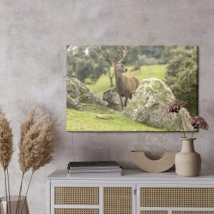 Peinture sur toile Un Cerf Parmi Les Rochers – Image 3