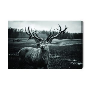 Peinture sur toile Cerf Noir Et Blanc – Image 2