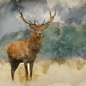 Peinture sur toile Un Cerf Peint À L'aquarelle – Image 1