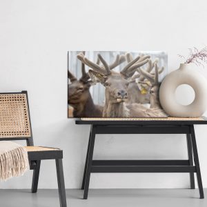 Peinture sur toile Un Troupeau De Rennes – Image 6