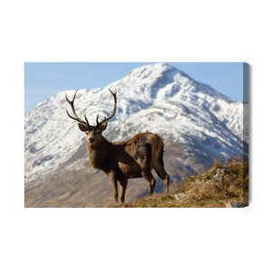 Peinture sur toile Un Cerf Avec Un Sommet De Montagne En Arrière-Plan - Retiré De La Vente – Image 2