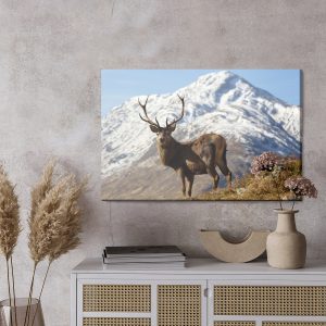 Peinture sur toile Un Cerf Avec Un Sommet De Montagne En Arrière-Plan - Retiré De La Vente – Image 3