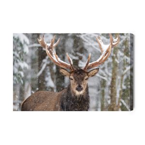 Peinture sur toile Cerf Dans La Forêt D'hiver – Image 2