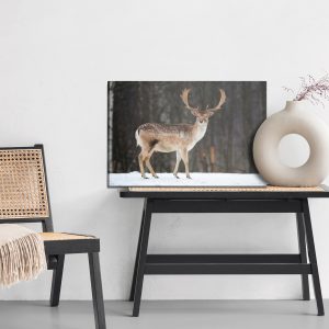 Peinture sur toile Cerf Sur Fond D'arbres – Image 6