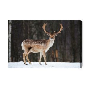 Peinture sur toile Cerf Sur Fond D'arbres – Image 2