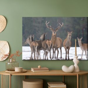 Peinture sur toile Un Cerf Et Une Biche – Image 5