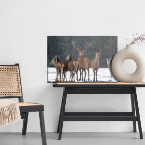 Peinture sur toile Un Cerf Et Une Biche – Image 6