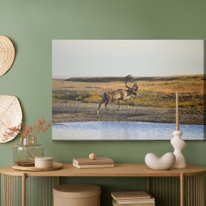 Peinture sur toile Un Cerf Au Dessus De L'eau – Image 5