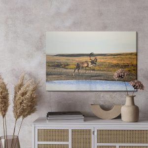 Peinture sur toile Un Cerf Au Dessus De L'eau – Image 3