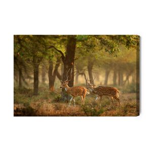 Peinture sur toile Jeune Cerf Tacheté – Image 2