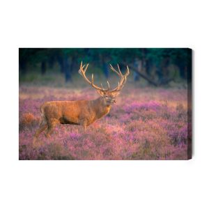 Peinture sur toile Un Cerf En Rut – Image 2